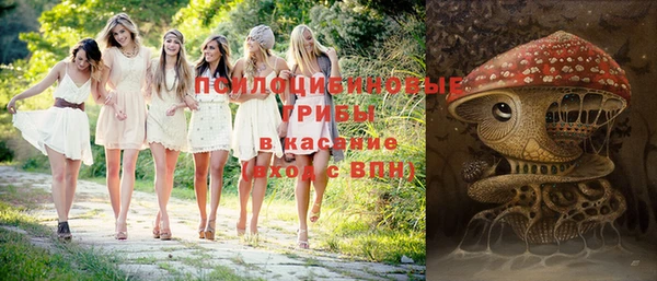 бошки Абаза