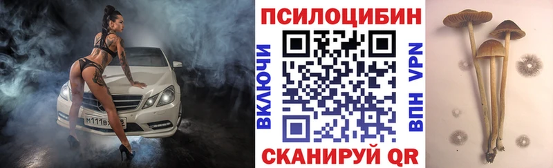 Галлюциногенные грибы ЛСД  нарко площадка наркотические препараты  Димитровград 